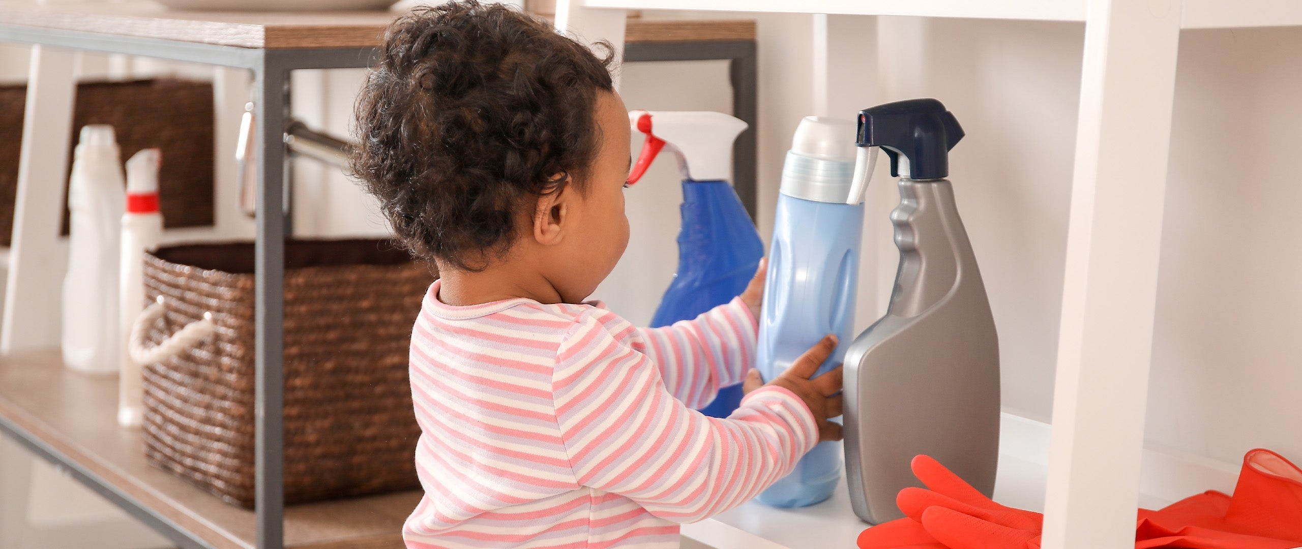 The “Nasty Nine” Chemistries Hiding in Your Home, and Why We’ll Never Use Them - Emerald Prairie Health, LLC, DBA Emerald Prairie Home