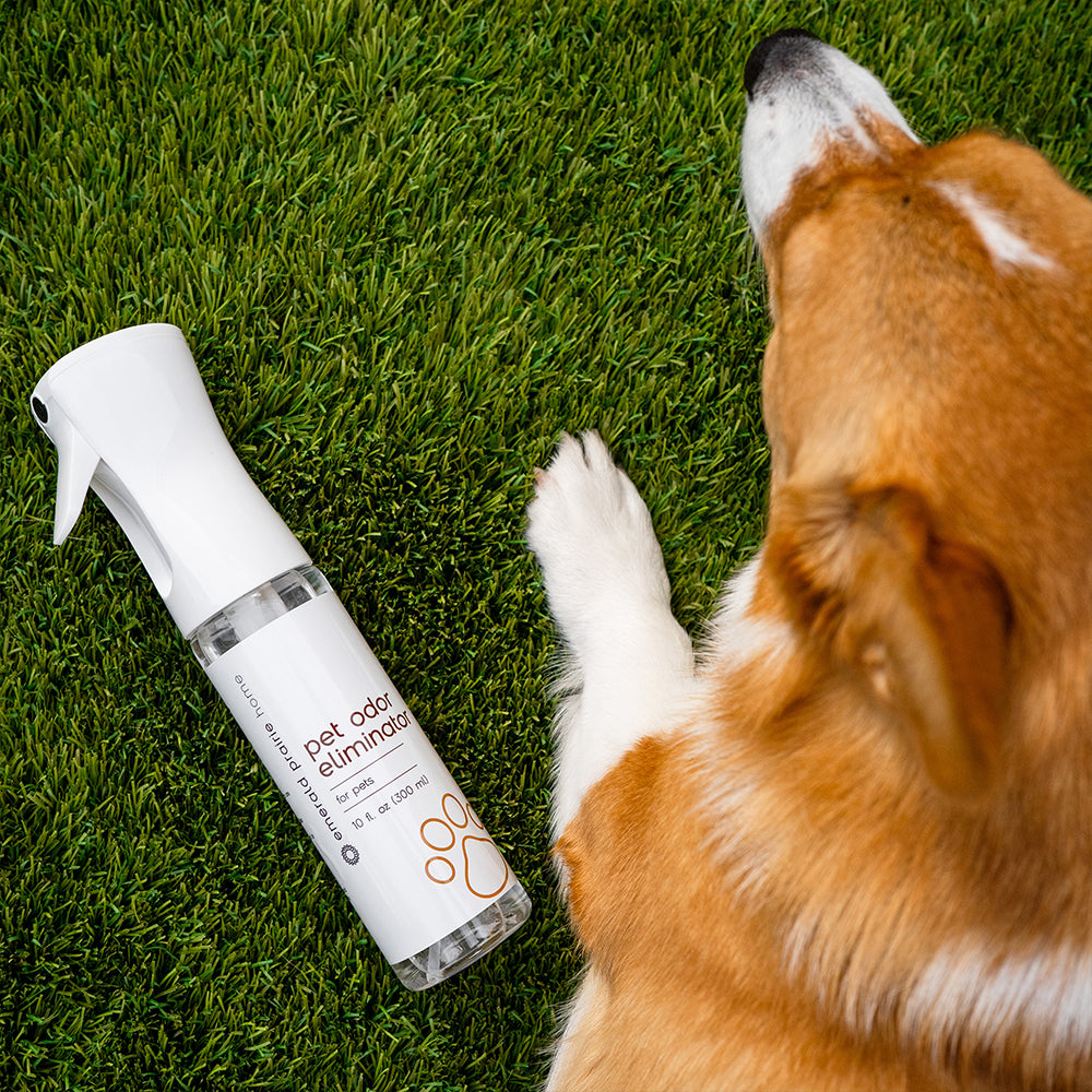 Pet Odor Eliminator