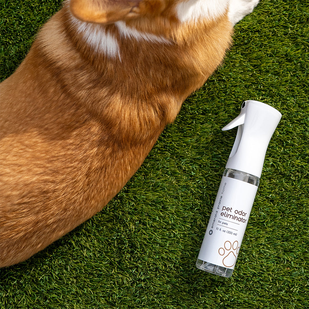 pet-odor-eliminator-SKU-variant.jpg