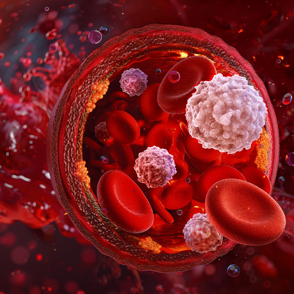 Anti-inflammatory and Wound Healing Support